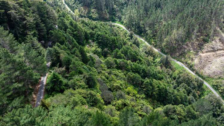 Lot 6 Tangahoe Valley Road Ohangai_8