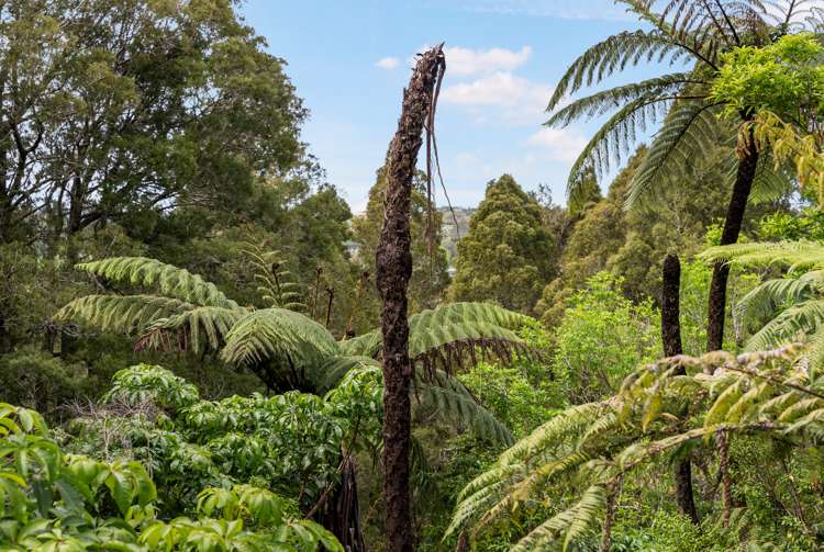 39 Mill Flat Road Riverhead_22