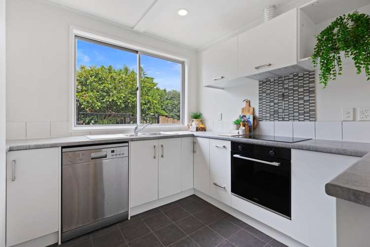 11B Taupo Avenue Mt Maunganui_9