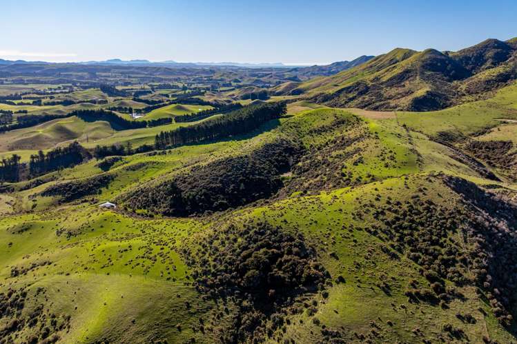 7611 State Highway 1 Ward_14