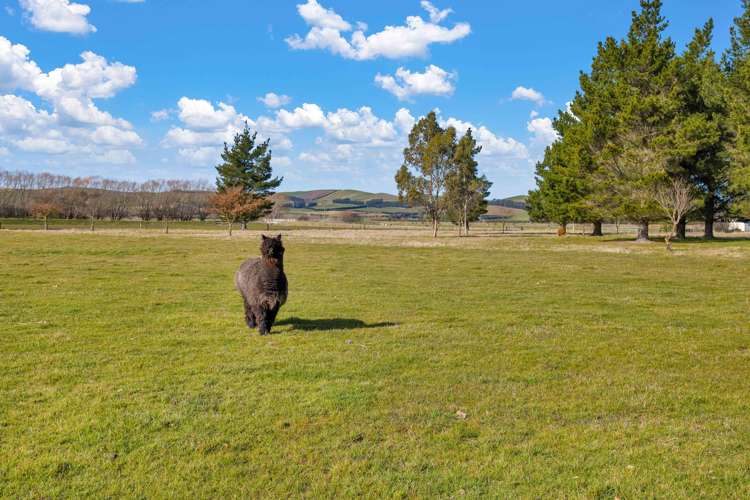 135 Bentleys Road Hawarden_41