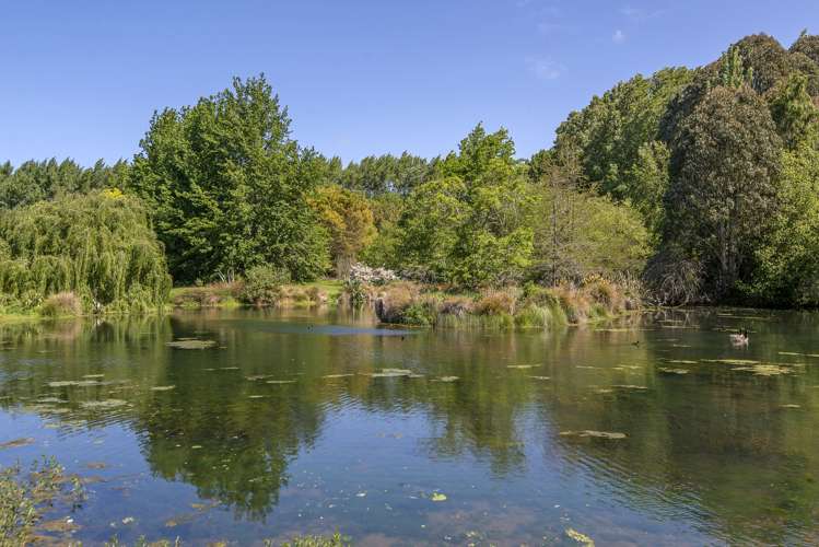 61 Mapleham Drive Pegasus_29