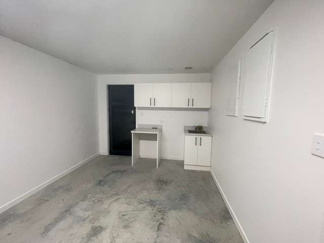 171 Archibald Street Tinwald_1