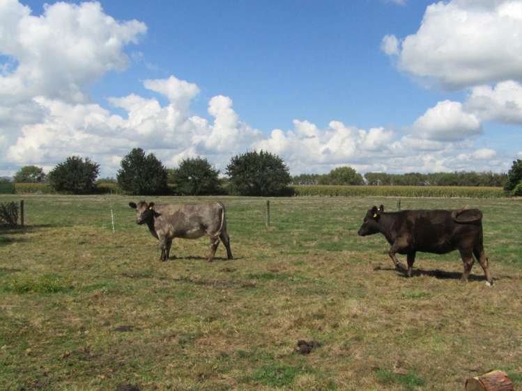 452 Holland Road Eureka_6