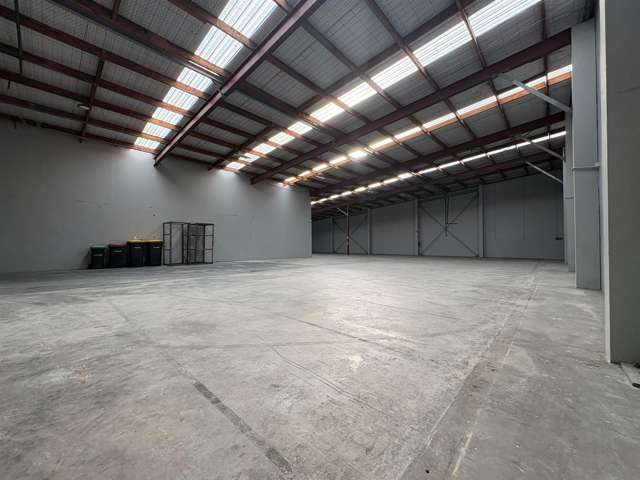 15 Disraeli Street Sydenham_2