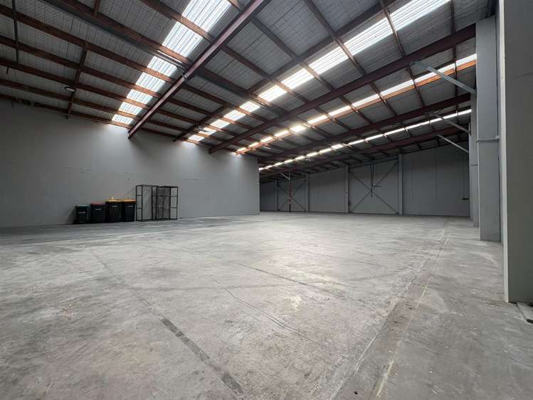 15 Disraeli Street Sydenham_2