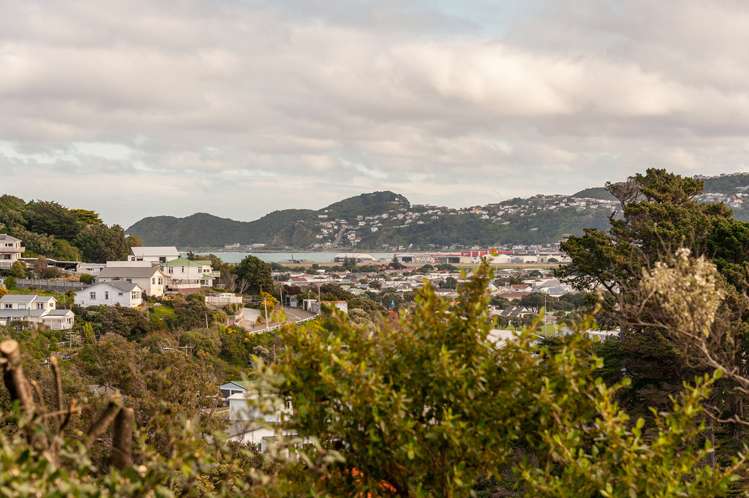 32 Totara Road Miramar_18