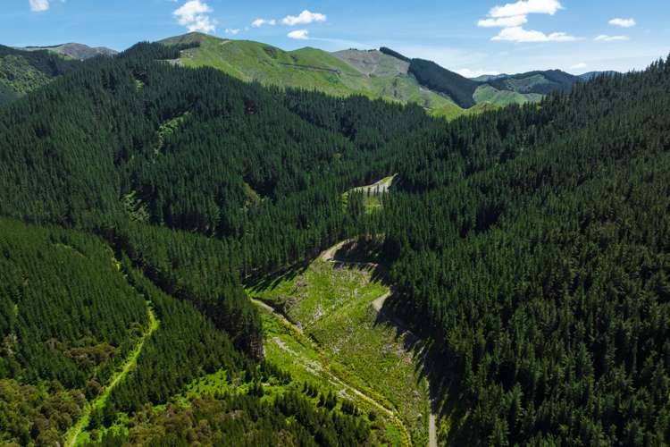 Waihopai Valley Road Waihopai Valley_16