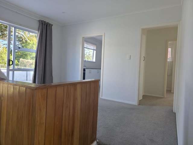 13 Terry Street 1644_4