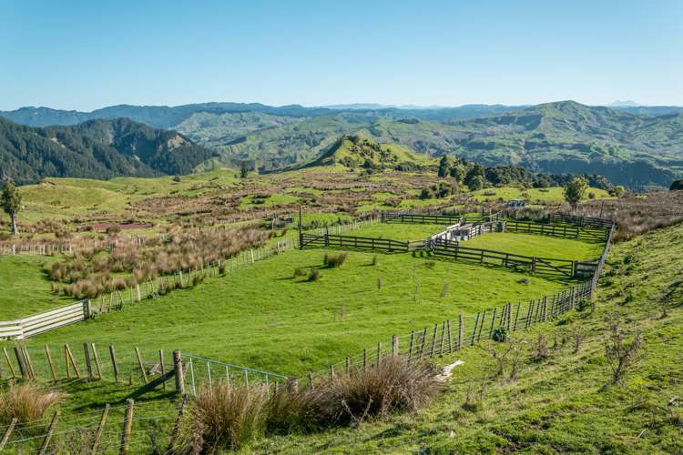 229 Rangikohua Road Tolaga Bay_9