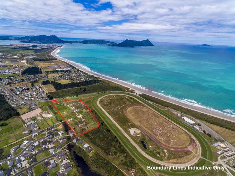98 Peter Snell Road Ruakaka_5