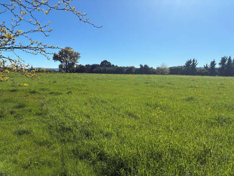 52 Reserve Road Amberley_27
