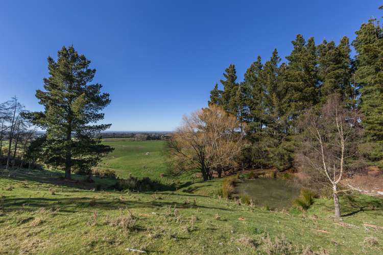 265 Forestry Road Loburn_23