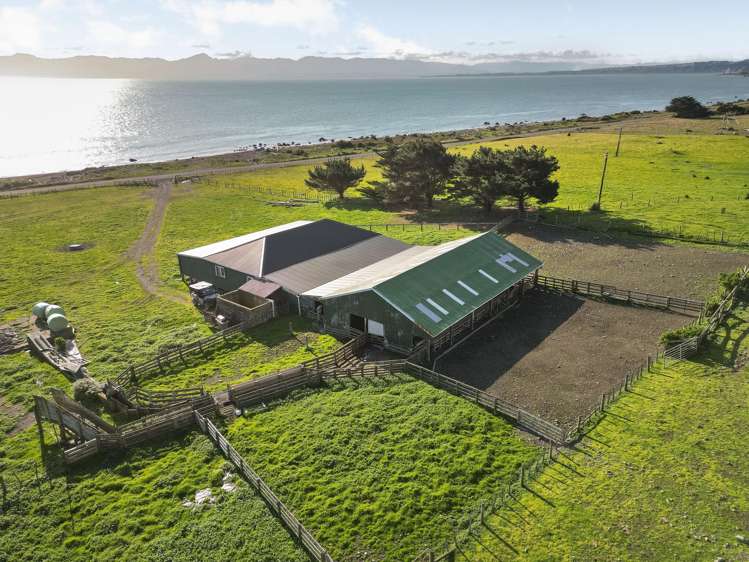 2057 Cape Palliser Road South Martinborough_6