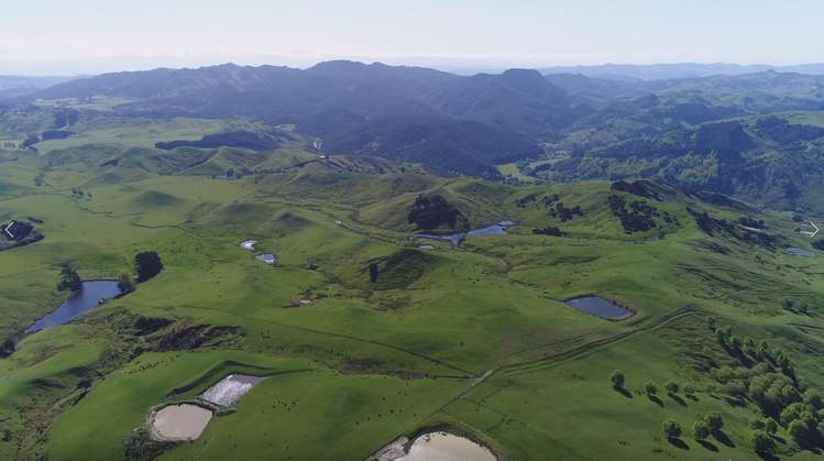 2612 Masterton Castlepoint Road Mangapakeha_19