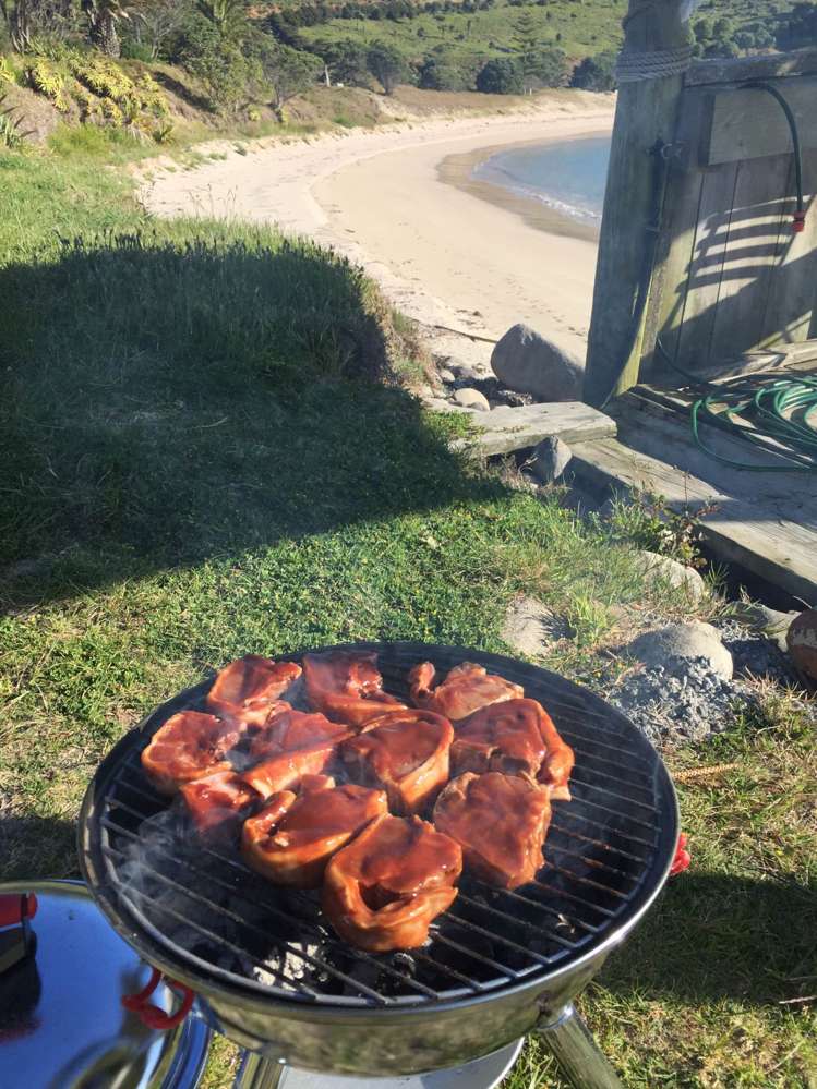 190 Pacific Ocean, Slipper Island (Whakahua) Thames_64
