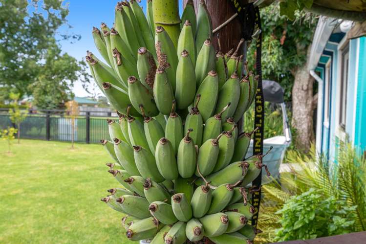 75 Maygrove Drive Orewa_24