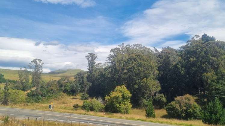 2705 Waikouaiti-Waitati Road Waikouaiti_1