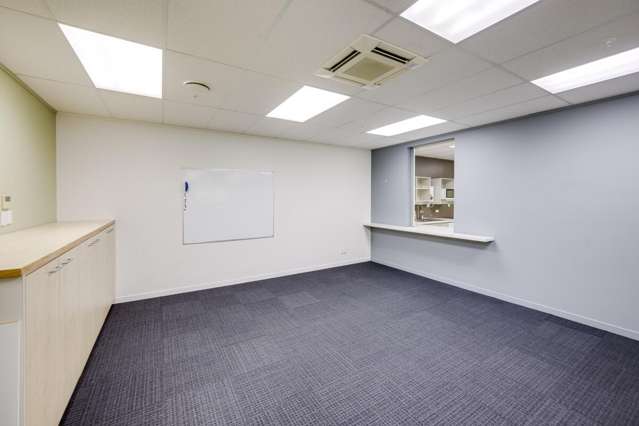 105b Raffles Street Napier South_2