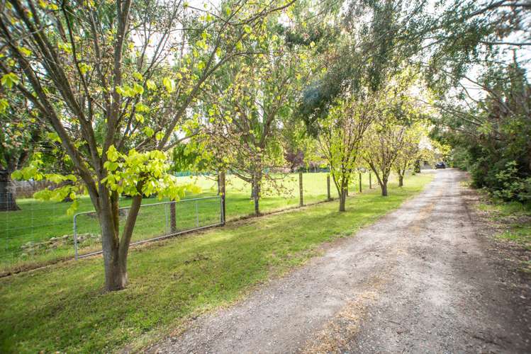 20 Letts Gully Road Alexandra_14