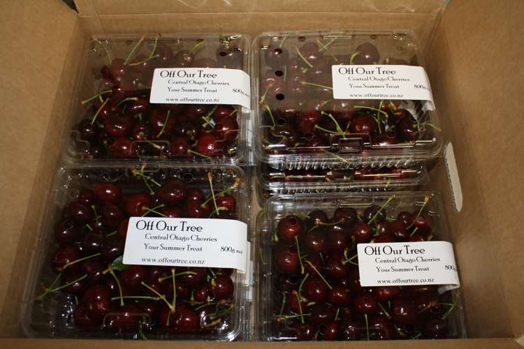 109 Ripponvale Road Cromwell_30