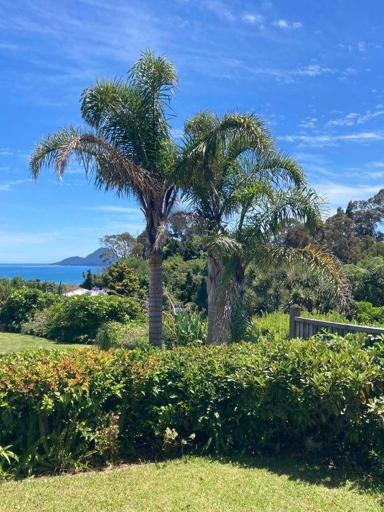 16 Berg Place Whakatane_25