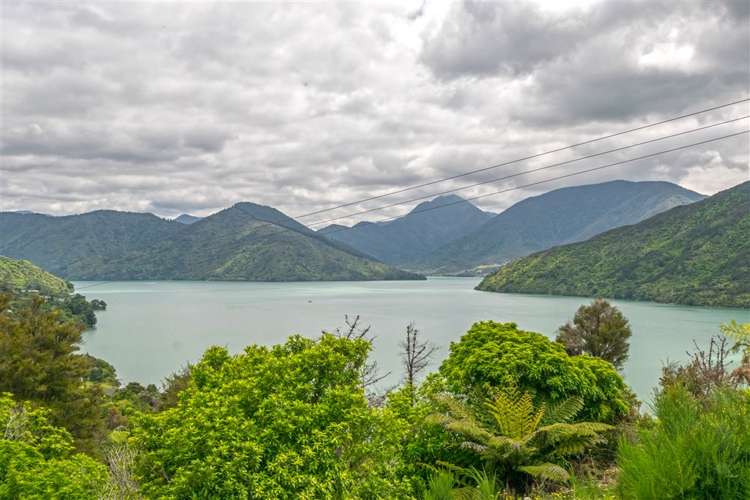 688a Queen Charlotte Drive Havelock_6