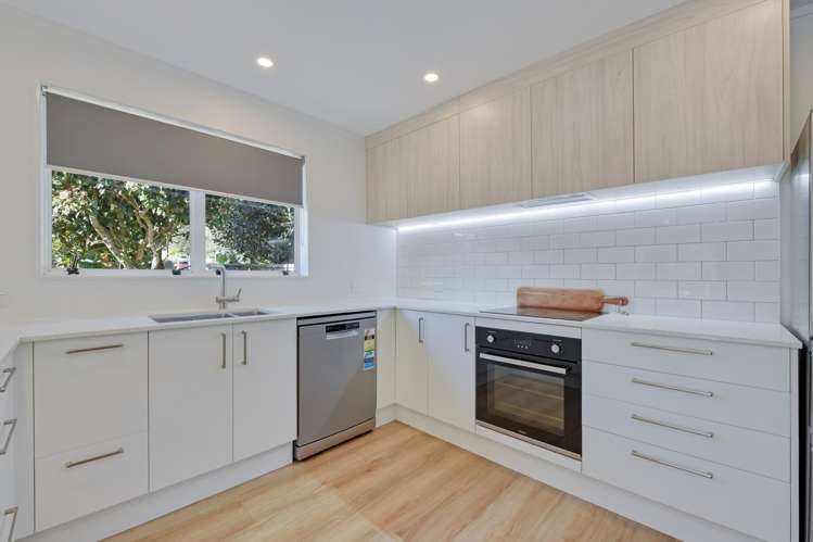 221 Nile Street Maitai Valley_7