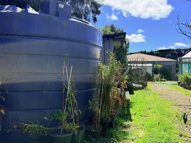 1164 No 3 Road Te Puke_37