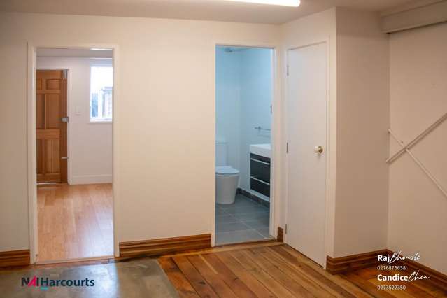 315 Dominion Road Mt Eden_2