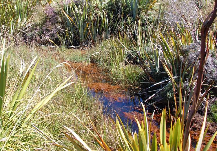 28 Erua Road National Park_7