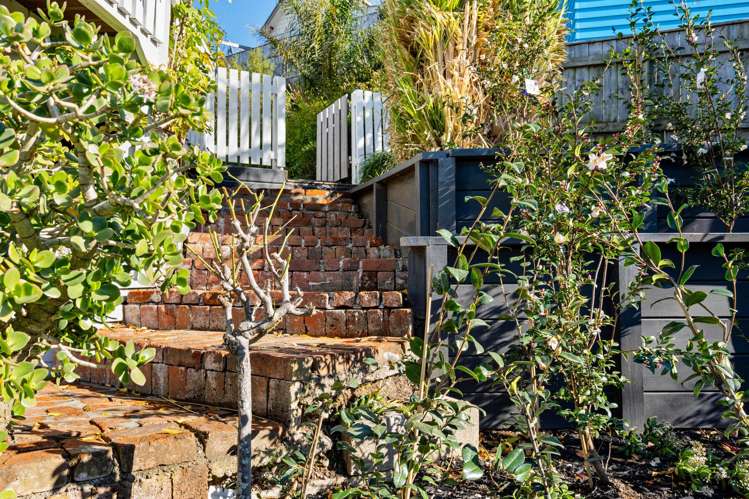 6 Fitzroy Road Bluff Hill_22