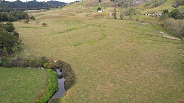 49ha Paparoa Beef/Calf Rearing Farm