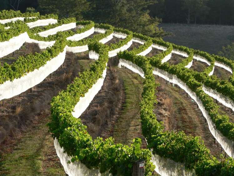 208 Pukeora Scenic Road Waipukurau and Surrounds_21