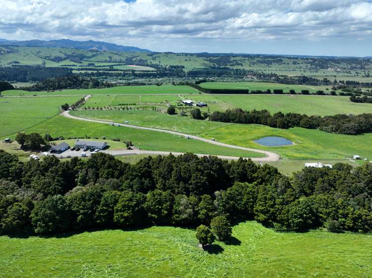 1483 Wakarara Road Ongaonga_25