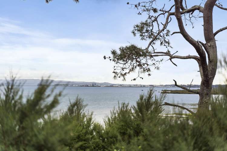 18 Nicholas Gibbons Drive Clendon Park_30