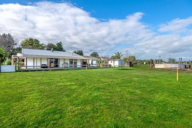 308 King Road Makauri_4