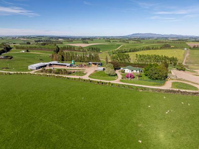 85 - 131 Garden Gully Road Te Kiteroa_3