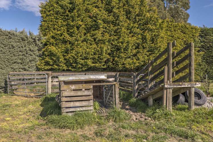 680 Mclaughlins Road Darfield_17