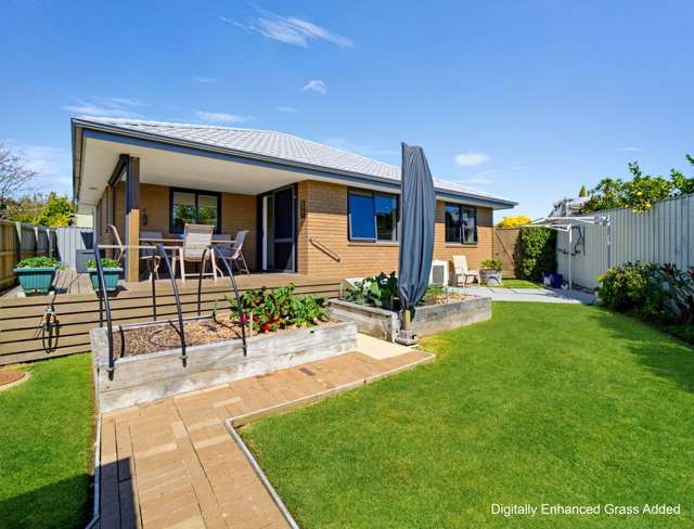 20C Brookvale Road Havelock North_4