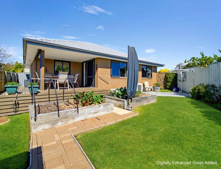 20C Brookvale Road Havelock North_3