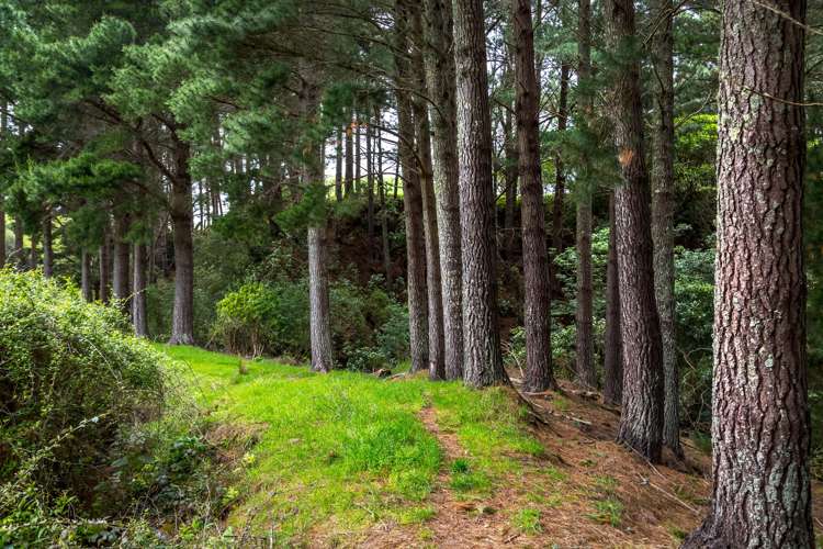 174 Opaki Kaiparoro Road Eketahuna_14