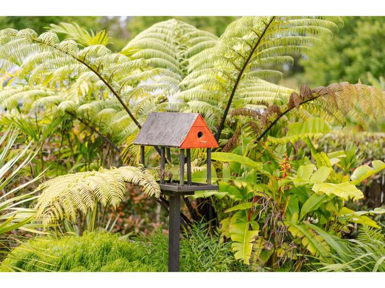 14 Campbell Lane Kerikeri_12