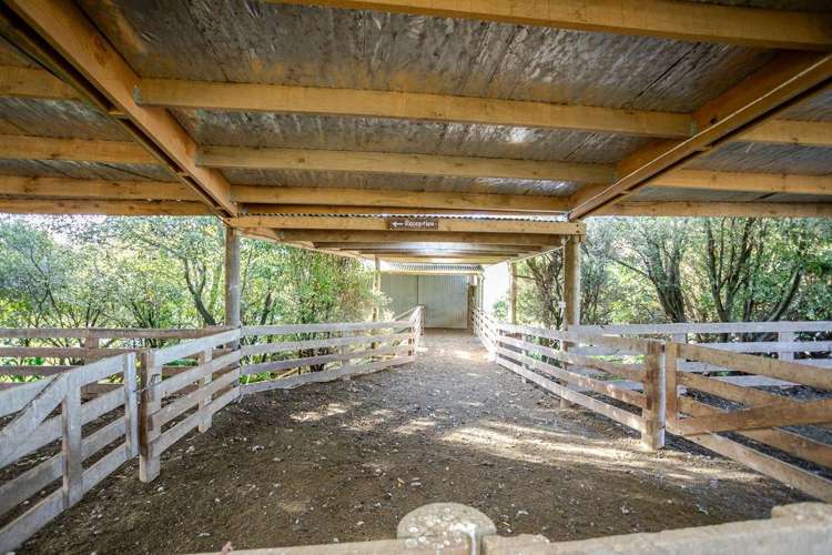 30 Mangahei Road Dannevirke_17