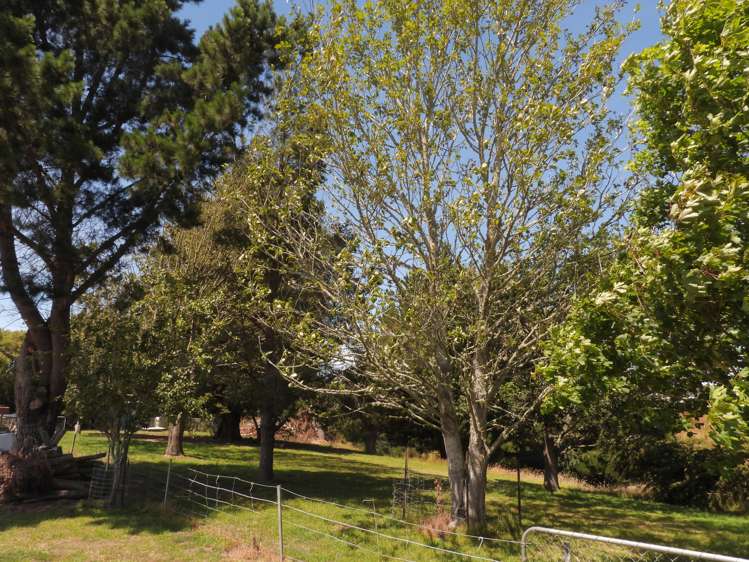 15 Easons Road Hampden_23