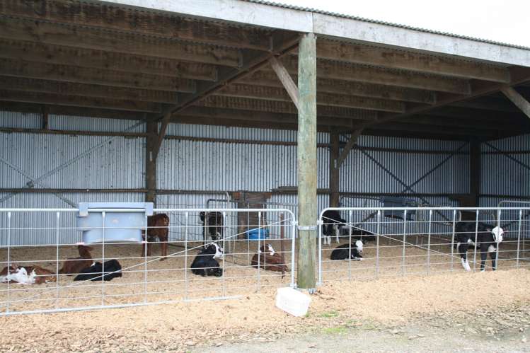 12/1212A Tower Road Matamata_10