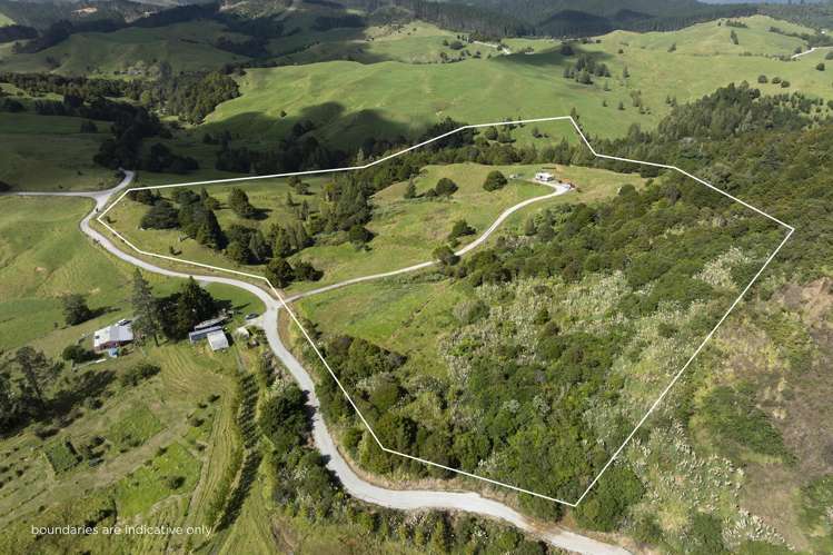 1238 Fern Flat Road Kaeo_23