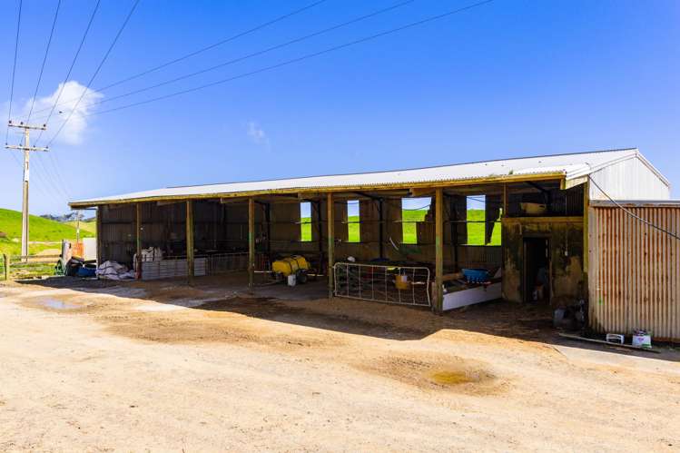 780 Te Maire Road Te Kopuru_9