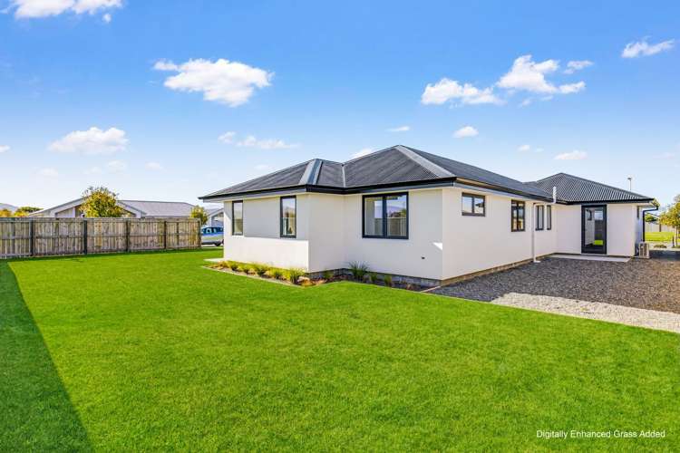 31 Whitehall Drive Springlands_24