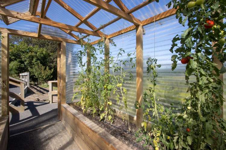 189 Thompsons Track Katikati_31